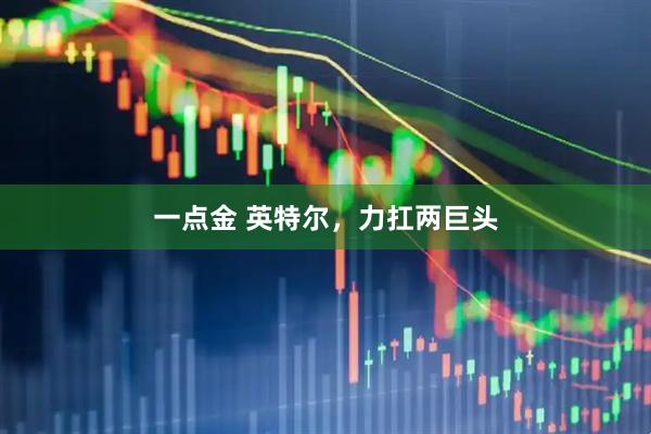 一点金 英特尔，力扛两巨头