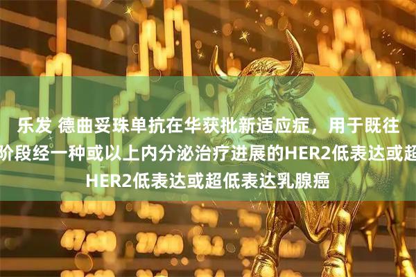 乐发 德曲妥珠单抗在华获批新适应症,用于既往在转移性疾病阶段经一种或以上内分泌治疗进展的HER2低表达或超低表达乳腺癌