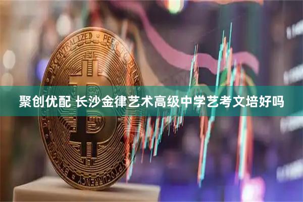 聚创优配 长沙金律艺术高级中学艺考文培好吗