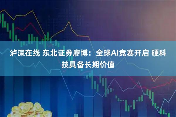 泸深在线 东北证券廖博：全球AI竞赛开启 硬科技具备长期价值
